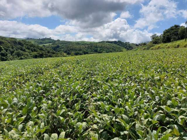 Sitio a venda área de 6 Alqueires   com benfeitorias   10 Km de londrina .