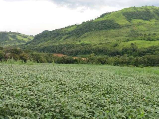 Fazenda para Pecuária a Venda  área total 188 Alqueires  PR