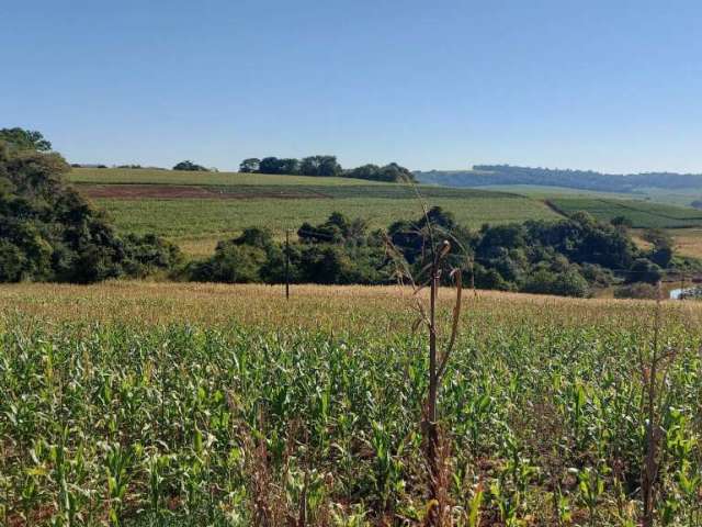 Sitio a Venda  área  de 5,9 Alqueires   plantando 4 Alqueires  Sertanópolis