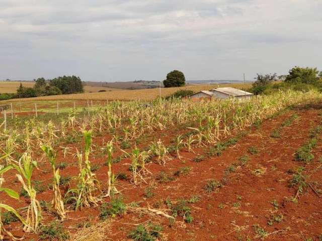 Chácara a Venda  1080 M²  Jataizinho PR