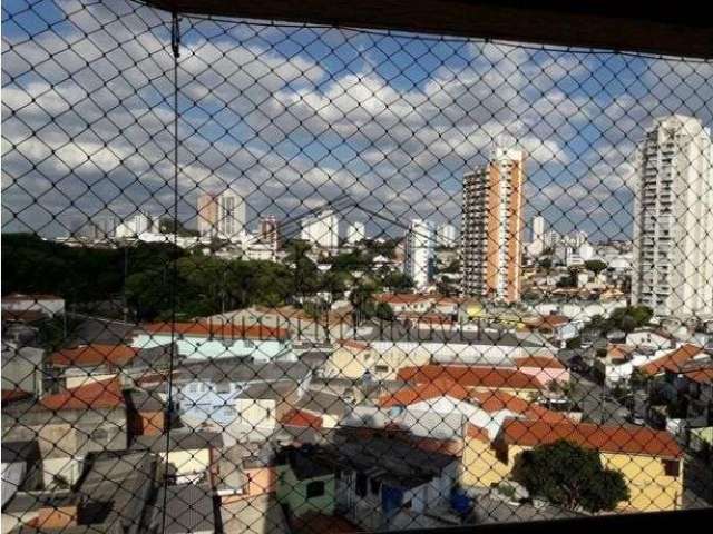 Ap559-apartamento com 2 dorms, 1 suíte, 1 vaga oportunidade na vila formosa