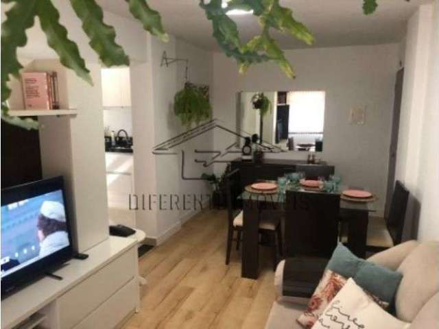 Apartamento 2 dorms - 56m² no artur alvin !