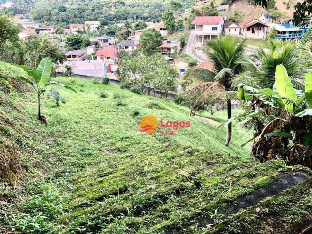 Terreno à venda, 3000 m²  - Maria Paula - Niterói/RJ