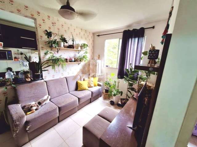 Apartamento em Sumarezinho, Ribeirão Preto/SP