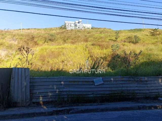 Terreno à venda, 660 m² por R$ 300.000,00 - Colônia Santo Antônio - Barra Mansa/RJ