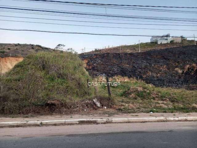 Terreno à venda, 600 m² por R$ 300.000 - Colônia Santo Antônio - Barra Mansa/RJ