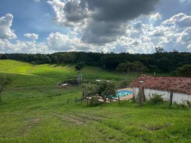 Chácara / sítio com 3 quartos à venda na Área Rural de Jaguariúna, Jaguariúna , 242000 m2 por R$ 4.000.000