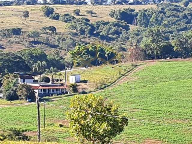 Chácara / sítio com 6 quartos à venda na Rua Rural, 001, Pacheco, Alpinópolis, 300 m2 por R$ 2.390.000