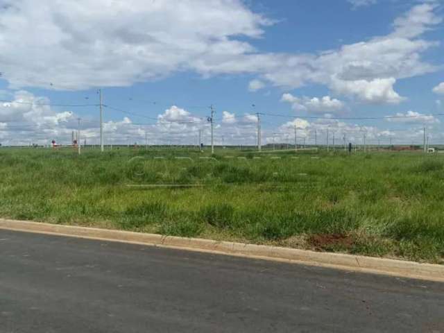 Terreno Padrão em São Carlos