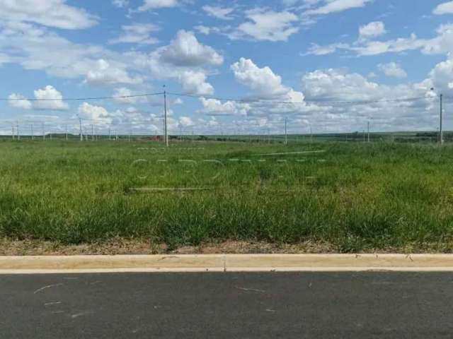 Terreno Padrão em São Carlos