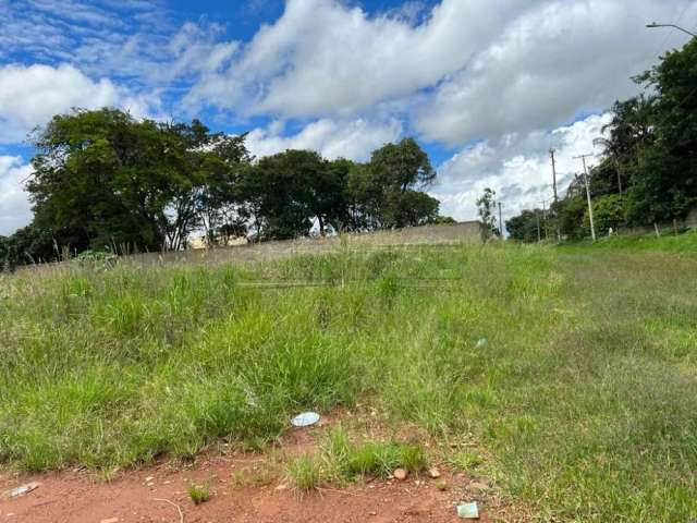 Terreno Padrão em Araraquara