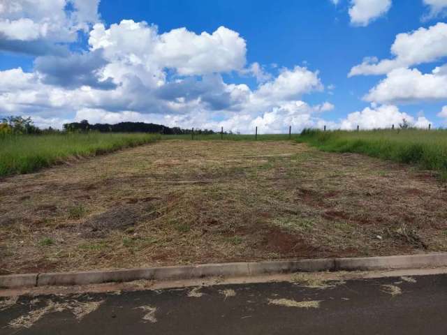 Terreno Padrão em São Carlos