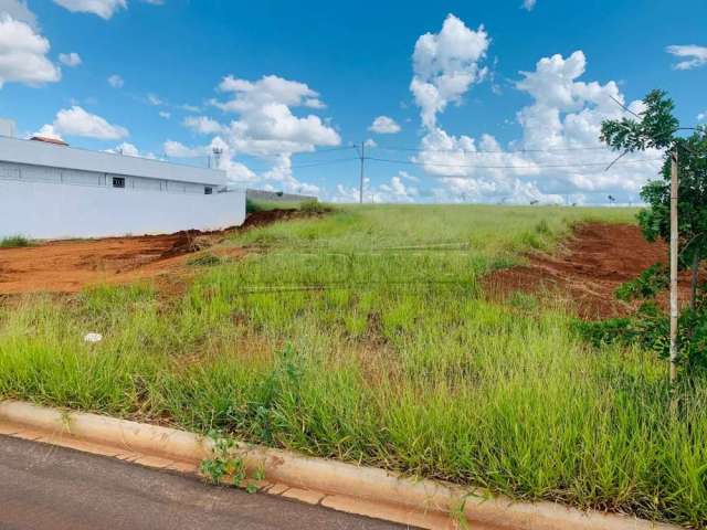 Terreno Padrão em São Carlos