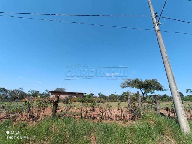 Terreno Padrão em São Carlos