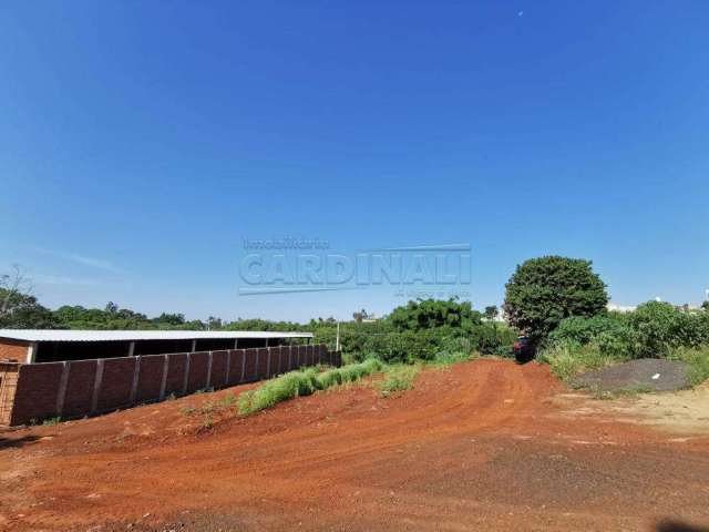 Terreno Padrão em Araraquara