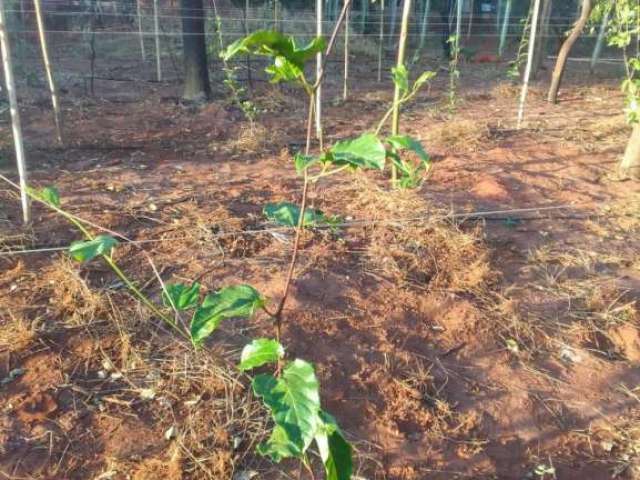 Rural Chácara em São Carlos