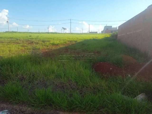 Terreno Padrão em São Carlos