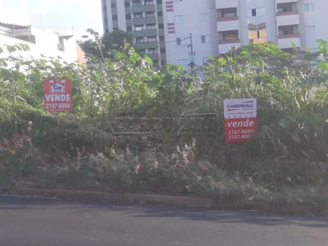 Terreno Padrão em São Carlos