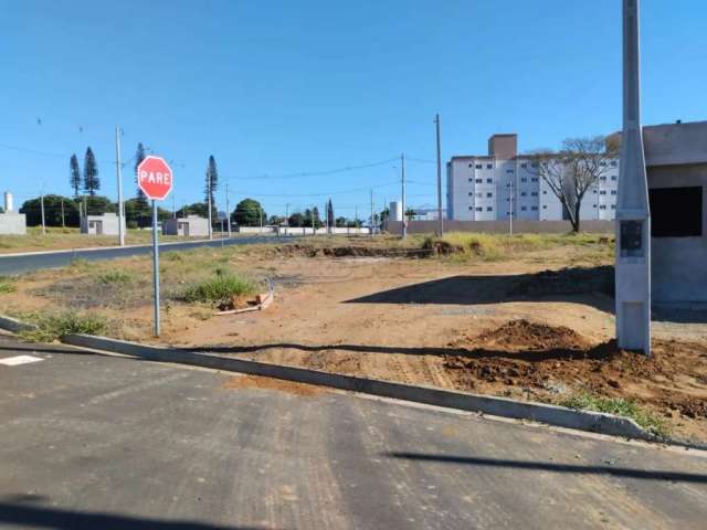 Terreno Padrão em Ibaté