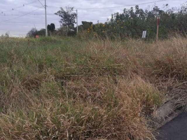 Terreno Padrão em São Carlos