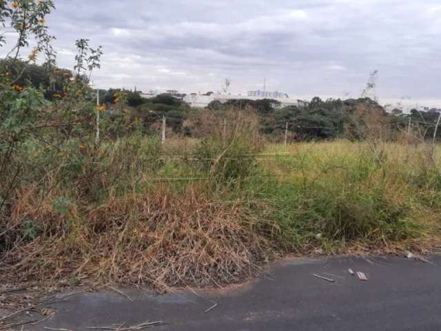 Terreno Padrão em São Carlos