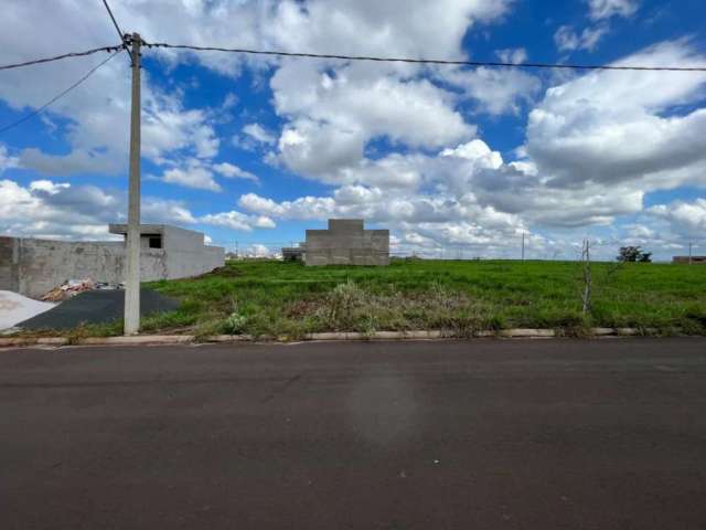 Terreno Padrão em São Carlos