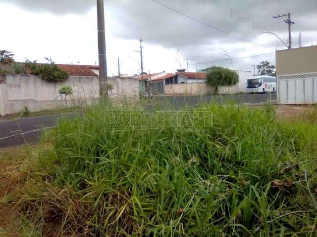 Terreno Padrão em São Carlos