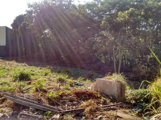 Terreno Padrão em São Carlos