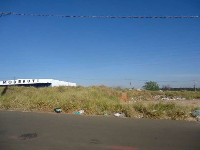 Terreno Padrão em São Carlos