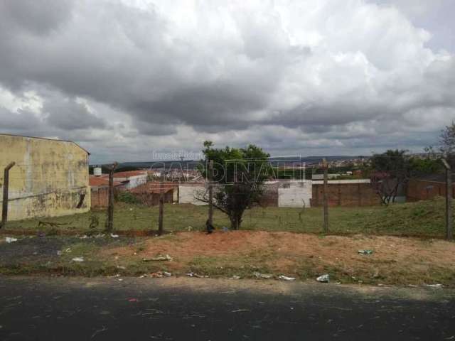 Terreno Padrão em São Carlos