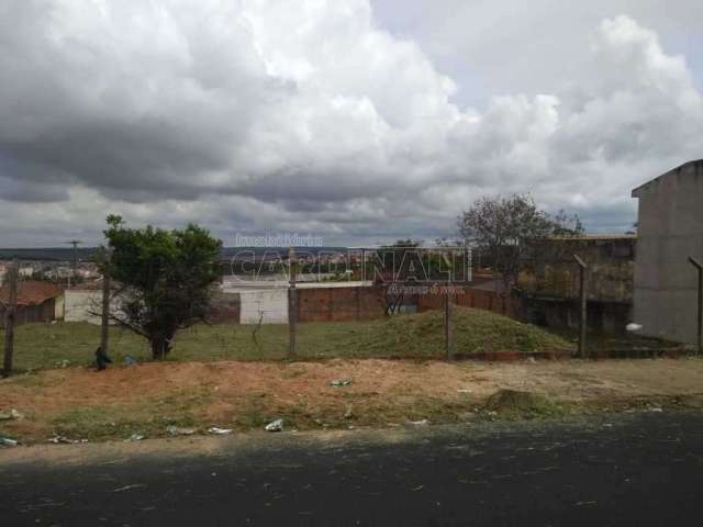 Terreno Padrão em São Carlos