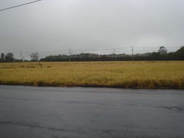 Terreno Padrão em São Carlos