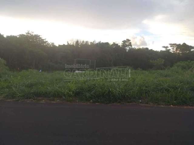 Terreno Padrão em Araraquara