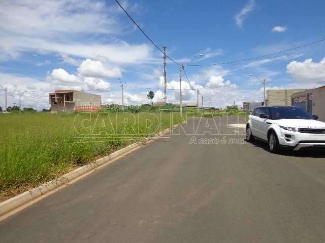 Terreno Padrão em São Carlos