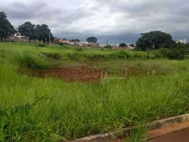 Terreno Padrão em Araraquara