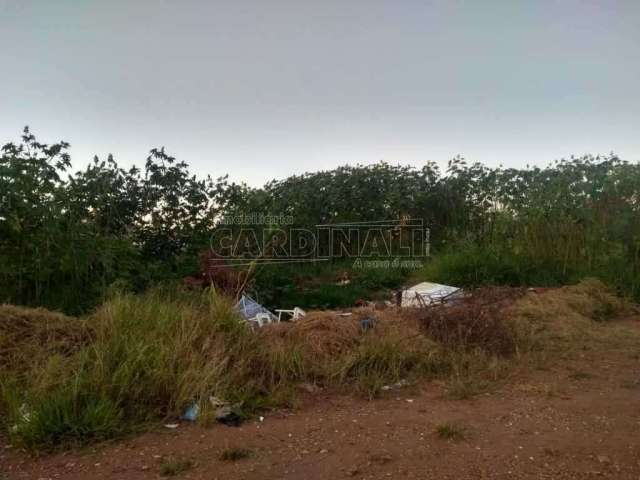 Terreno Padrão em São Carlos