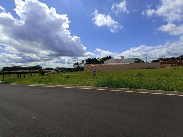 Terreno Padrão em São Carlos