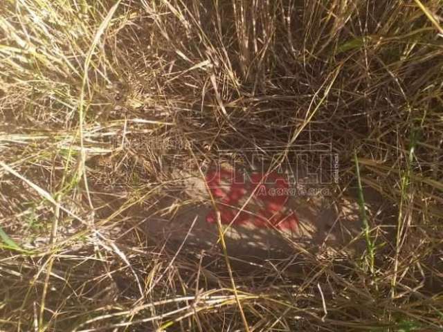 Terreno Padrão em São Carlos