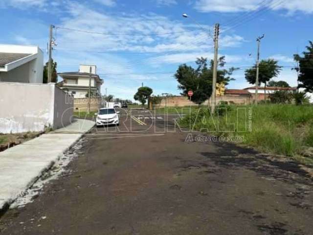 Terreno Padrão em São Carlos