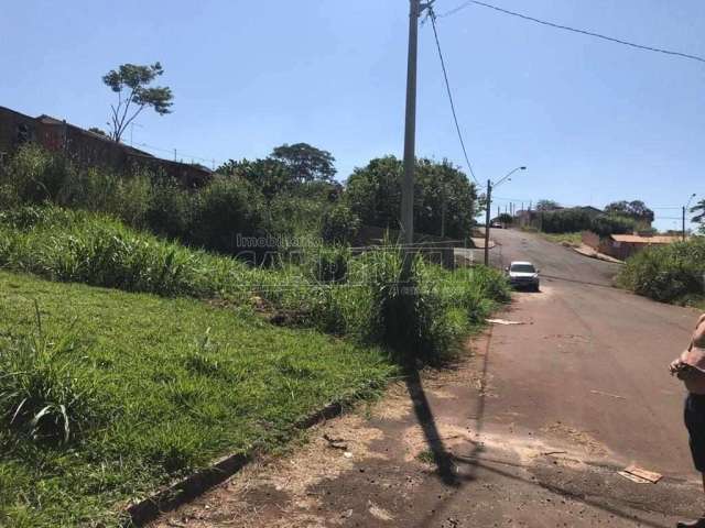 Terreno Padrão em Araraquara