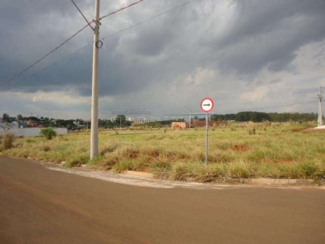 Terreno Padrão em São Carlos