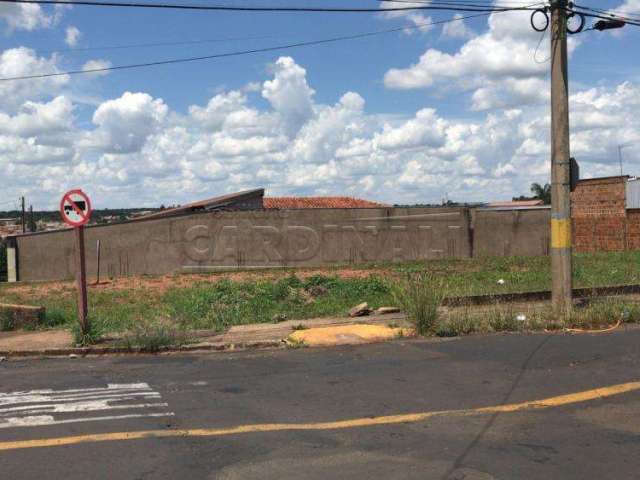 Terreno Padrão em Araraquara