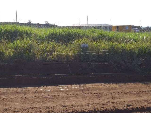 Terreno Condomínio em São Carlos