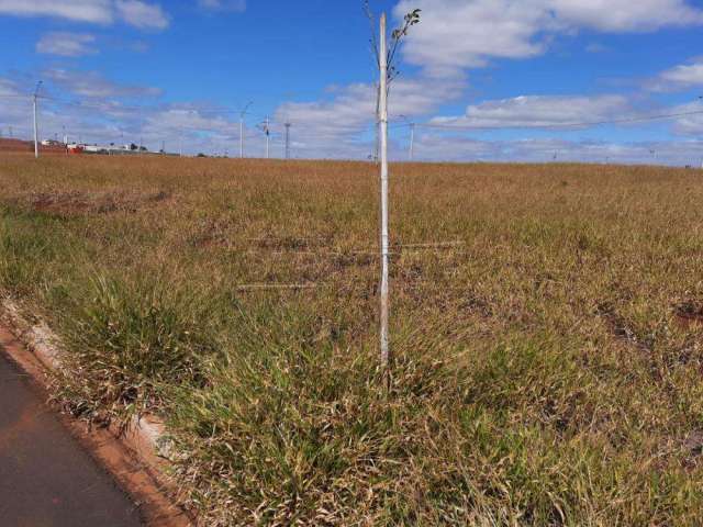 Terreno Padrão em São Carlos