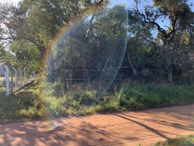 Terreno Padrão em São Carlos