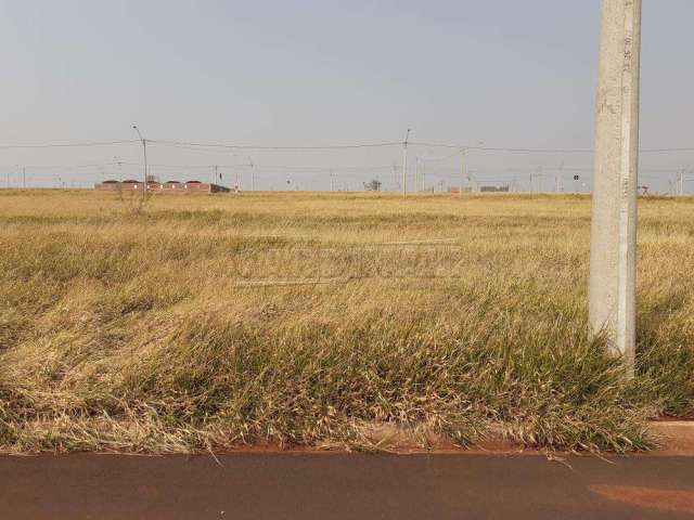 Terreno Padrão em São Carlos