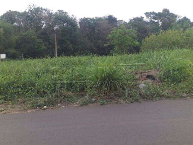 Terreno Padrão em Araraquara