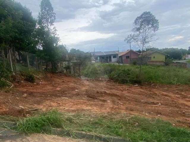 Terreno pronto para construção em campo largo