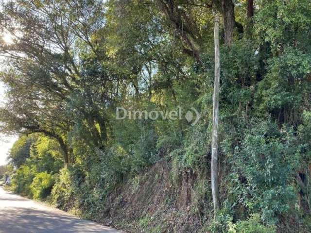 Terreno à venda na Rua Conselheiro Xavier da Costa, 2526, Ipanema, Porto Alegre por R$ 1.600.000