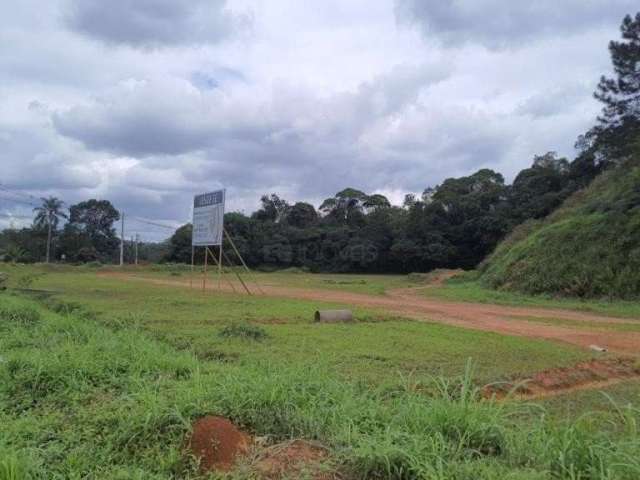 TERRENO no ZONA INDUSTRIAL NORTE com 0 quartos para VENDA, 24732 m²